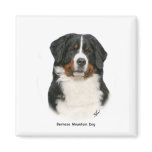 Bernese 9Y348D-094 Fridge Magnets