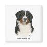 Bernese 9Y348D-094 Fridge Magnets