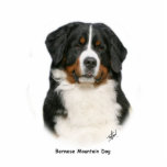 Bernese 9Y348D-094 Photo Cutout