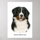 Bernese 9Y348D-094 Poster