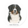 Bernese 9Y348D-094 Round Stickers