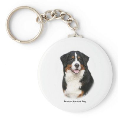 Bernese 9Y348D-115 Key Chains by TraffordPhotos