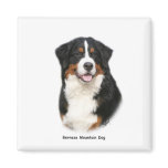 Bernese 9Y348D-115 Fridge Magnet
