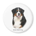 Bernese 9Y348D-115 Fridge Magnet