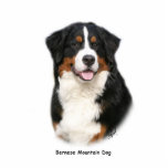 Bernese 9Y348D-115 Photo Sculptures