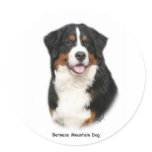 Bernese 9Y348D-115 Sticker