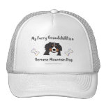 Bernese Hat