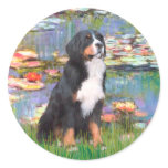 Bernese - Lilies 2 Sticker