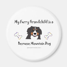 Bernese Magnets