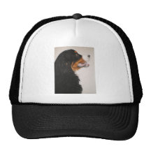 Bernese Mountain Dog 2 Hats