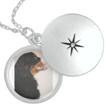 Bernese Mountain Dog 2 Personalized Necklace