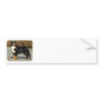 Bernese Mountain Dog 9T066D-133 Bumper Stickers