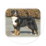 Bernese Mountain Dog 9T066D-133 Round Sticker