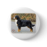 Bernese Mountain Dog 9T066D-221 Buttons