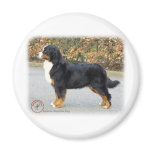 Bernese Mountain Dog 9T066D-221 Refrigerator Magnets