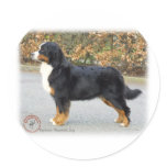 Bernese Mountain Dog 9T066D-221 Round Stickers