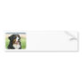 Bernese Mountain Dog 9Y066D-046 Bumper Stickers