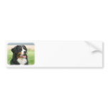 Bernese Mountain Dog 9Y066D-046 bumper stickers