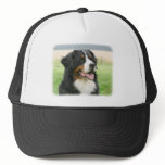Bernese Mountain Dog 9Y066D-046 Mesh Hat