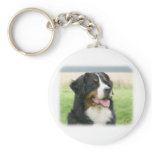 Bernese Mountain Dog 9Y066D-046 Key Chains