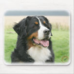 Bernese Mountain Dog 9Y066D-046 Mouse Mat