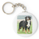 Bernese Mountain Dog 9Y066D-133 Key Chain