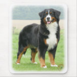 Bernese Mountain Dog 9Y066D-133 Mouse Pads