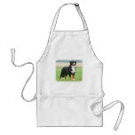 Bernese Mountain Dog 9Y066D-145 Aprons