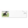 Bernese Mountain Dog 9Y066D-145 Bumper Sticker