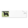 Bernese Mountain Dog 9Y236D-087 Bumper Stickers