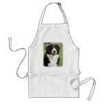 Bernese Mountain Dog 9Y236D-106 aprons