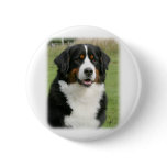 Bernese Mountain Dog 9Y236D-106 Pinback Buttons