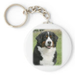 Bernese Mountain Dog 9Y236D-106 Key Chain