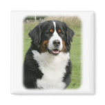 Bernese Mountain Dog 9Y236D-106 Magnet