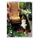 Bernese Mountain Dog Art Gifts Card