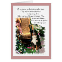 Bernese Mountain Dog Art Gifts Greeting Cards