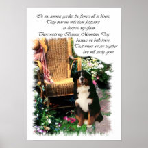 Bernese Mountain Dog Art Print