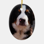 Bernese Mountain Dog Breed Ornament