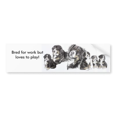 Bernese Mountain Dog Bumper Stickers by BarbBarcikKeith