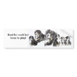 Bernese Mountain Dog bumper stickers
