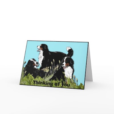 Bernese Mountain Dog Cards by knewfy