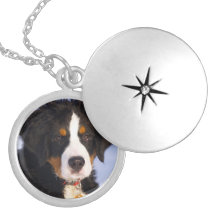 Bernese Mountain Dog - Cute Puppy Photo Personalized Necklace
