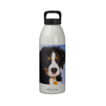 Bernese Mountain Dog - Cute Puppy Photo Reusable Water Bottle
