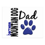 Bernese Mountain Dog Dad 2 Postcards