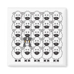 Bernese Mountain Dog in the Sheep Fridge Magnets
