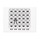 Bernese Mountain Dog in the Sheep Post Cards