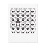 Bernese Mountain Dog in the Sheep postcards