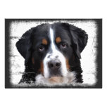 Bernese Mountain Dog Invitations