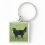 Bernese Mountain Dog Keychains
