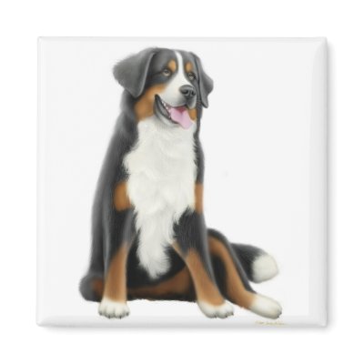 Bernese Mountain Dog Magnet by twopurringcats